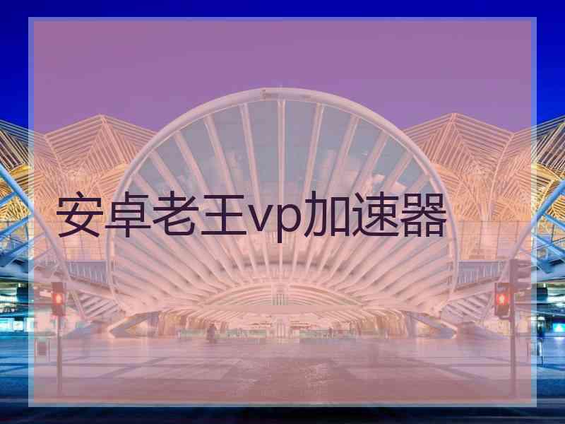 安卓老王vp加速器