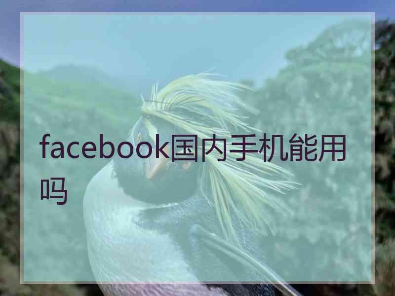 facebook国内手机能用吗