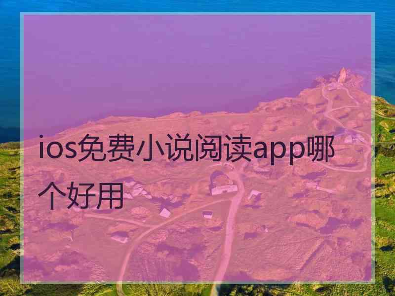 ios免费小说阅读app哪个好用