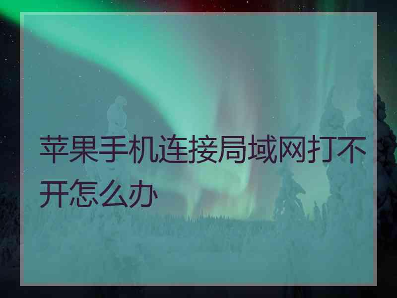 苹果手机连接局域网打不开怎么办