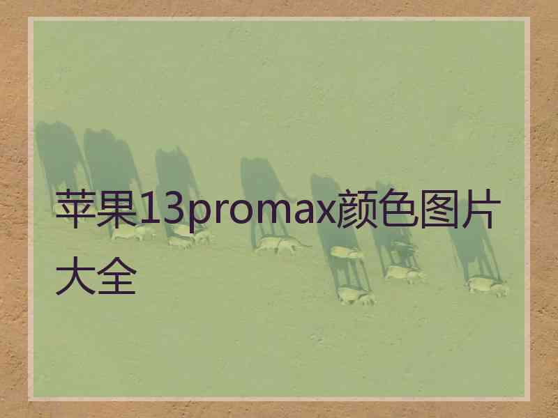 苹果13promax颜色图片大全