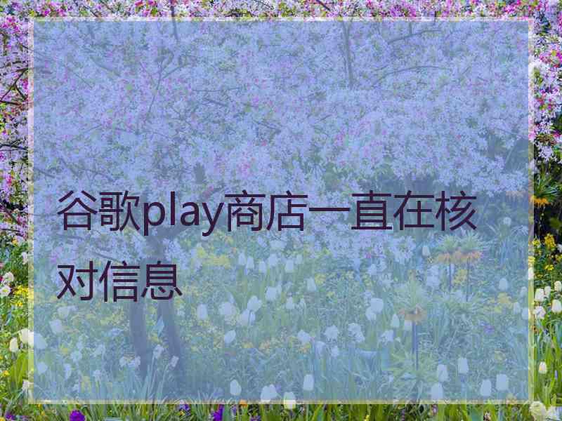 谷歌play商店一直在核对信息