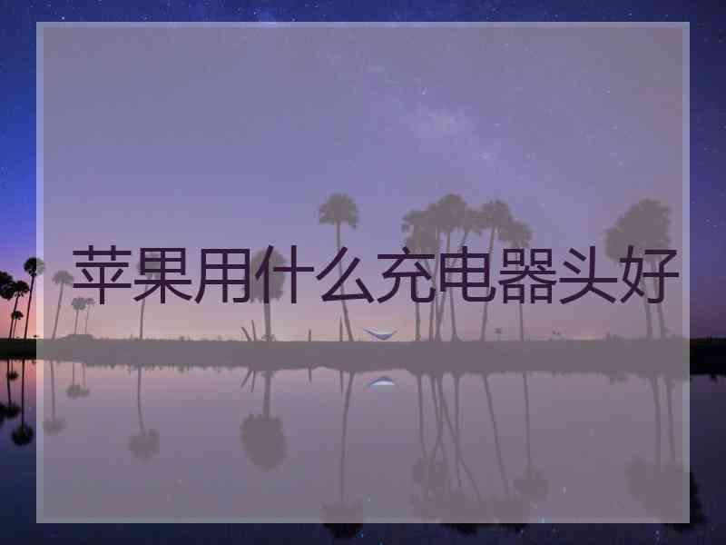 苹果用什么充电器头好