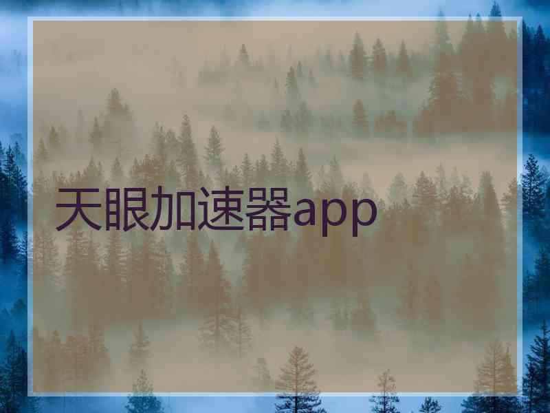 天眼加速器app