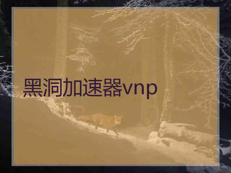 黑洞加速器vnp