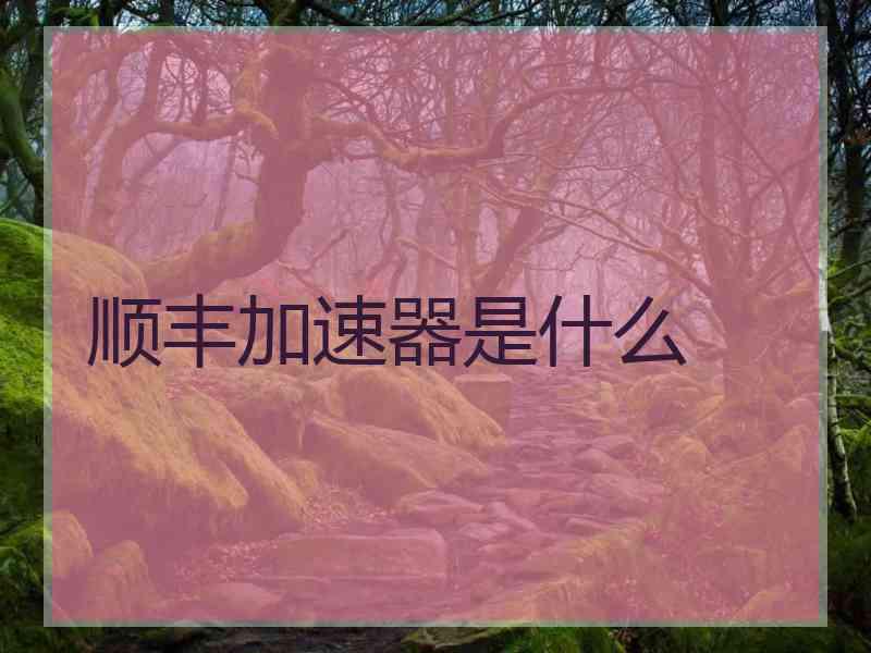 顺丰加速器是什么