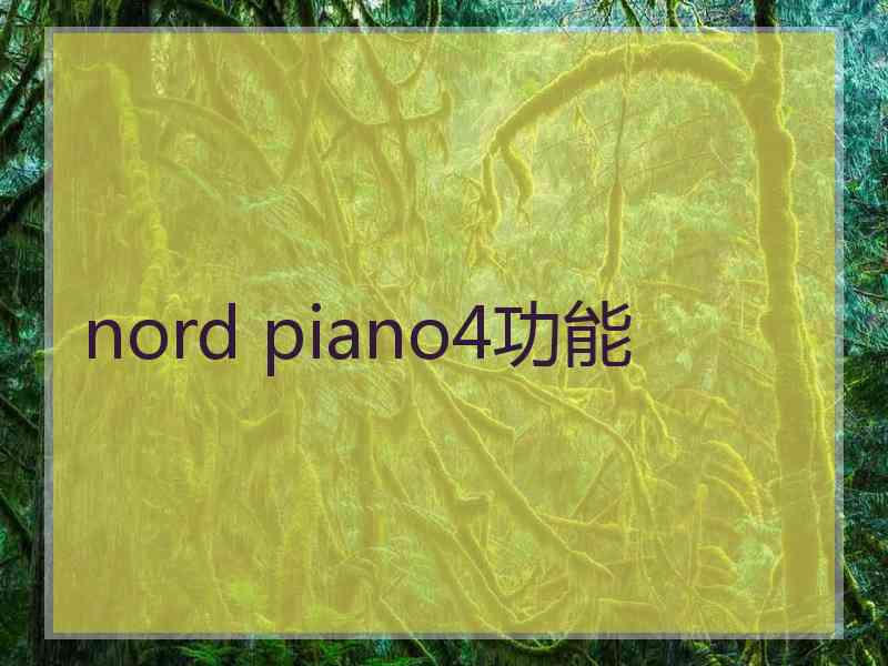 nord piano4功能