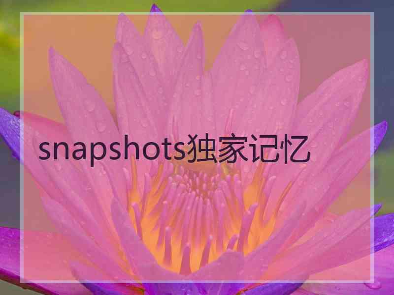 snapshots独家记忆