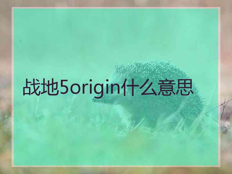 战地5origin什么意思