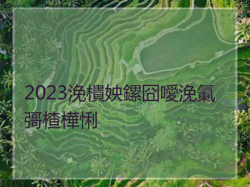 2023浼樻姎鏍囧噯浼氭彁楂樺悧