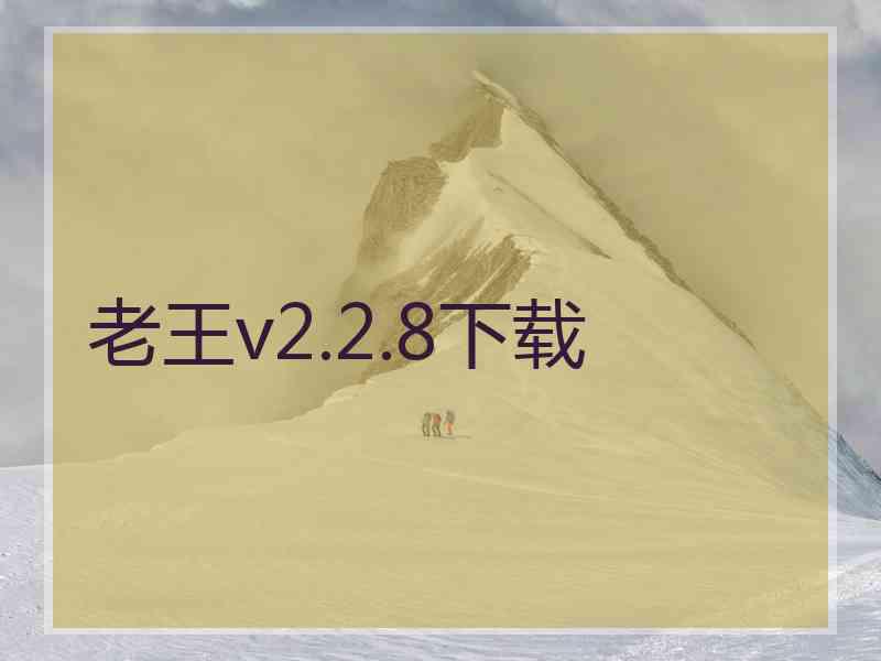 老王v2.2.8下载