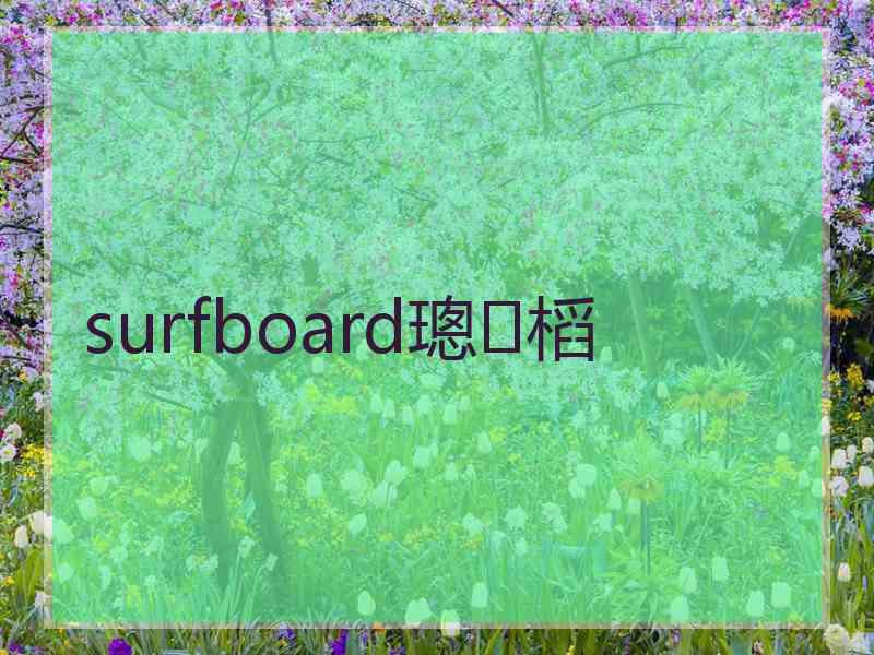 surfboard璁㈤槄