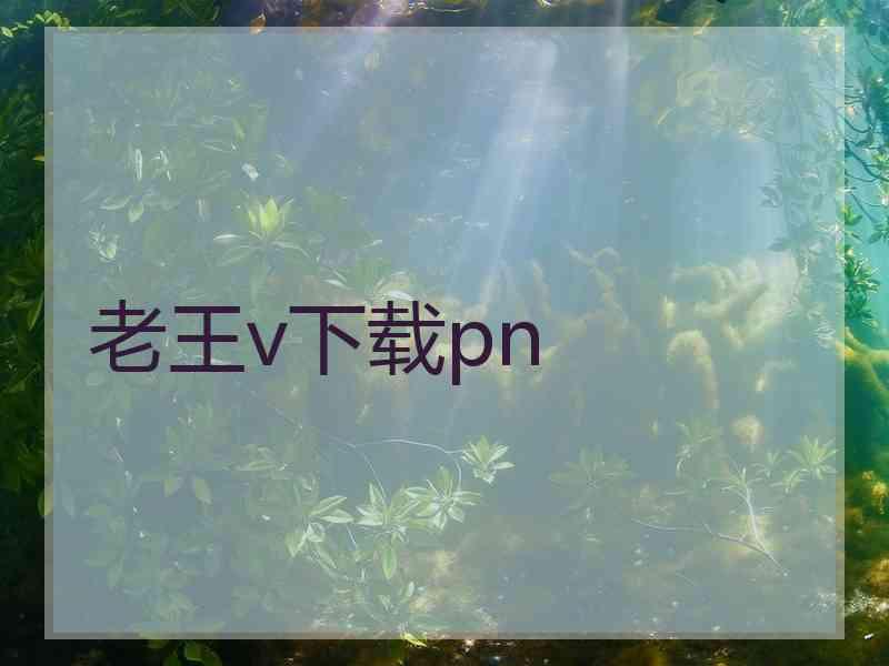 老王v下载pn