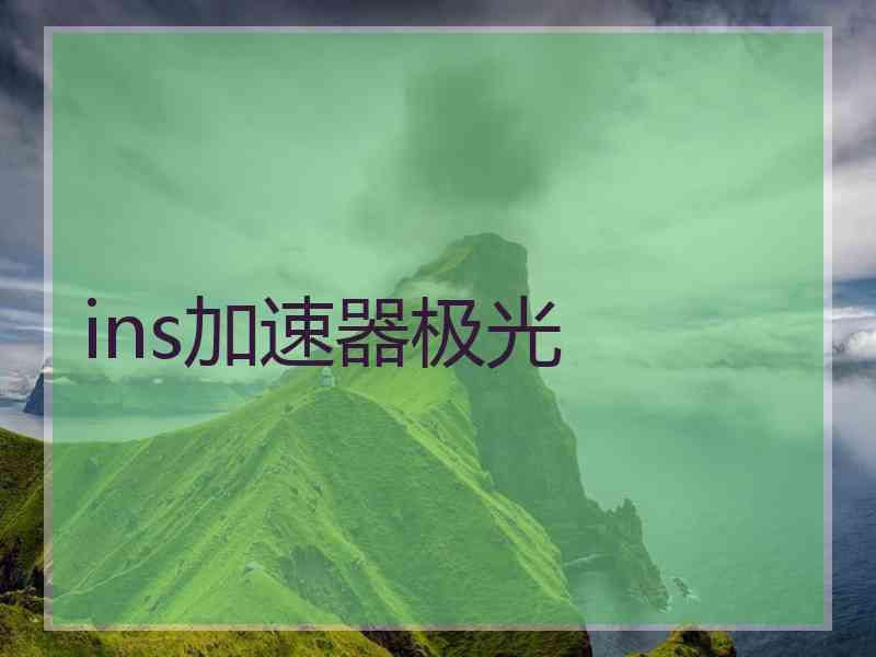 ins加速器极光