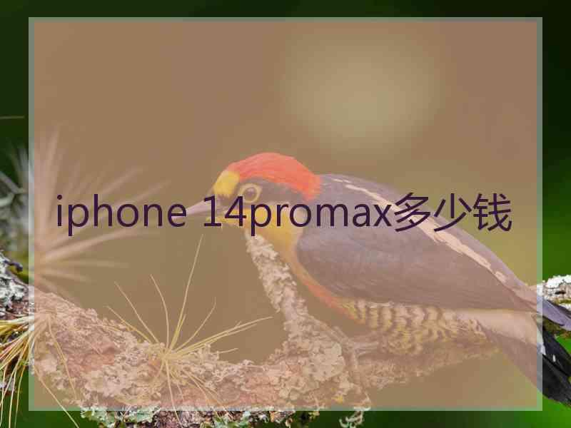 iphone 14promax多少钱