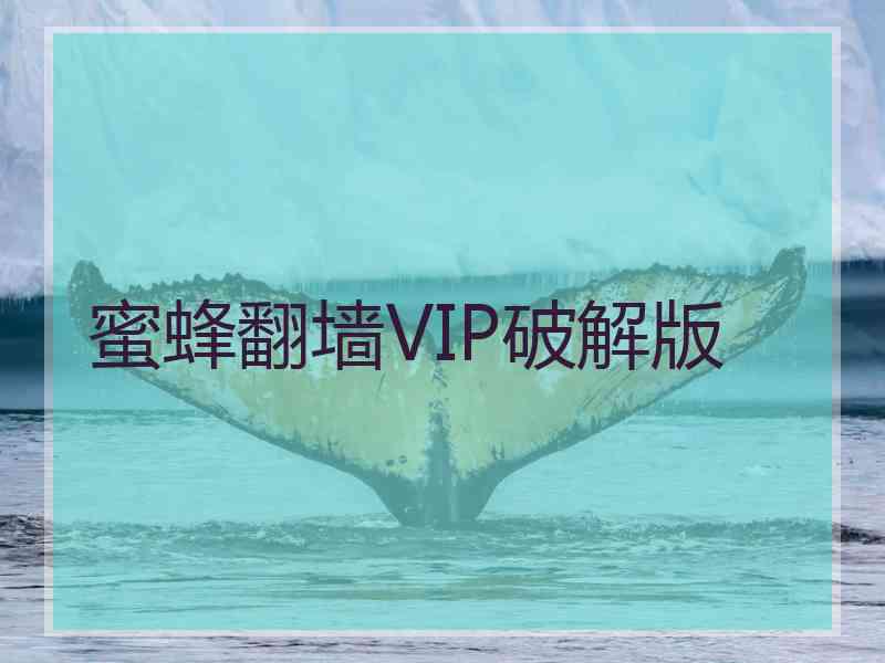 蜜蜂翻墙VIP破解版