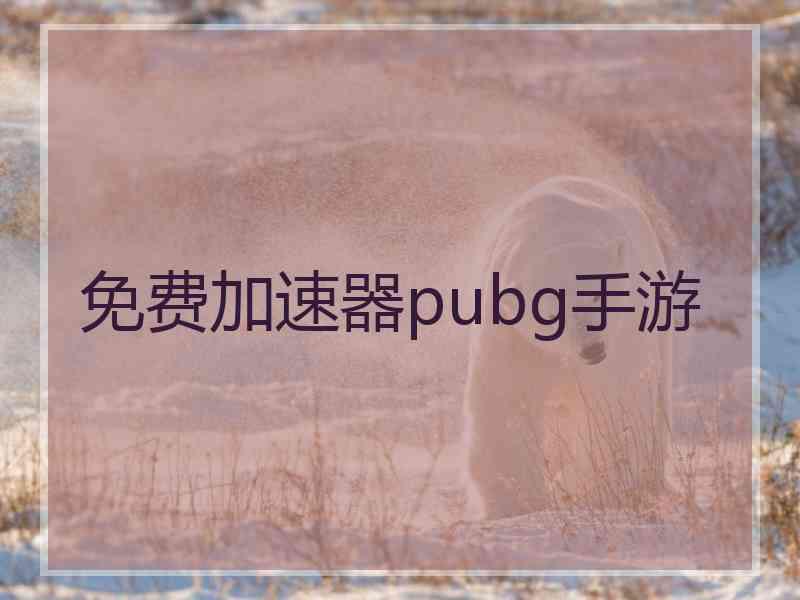 免费加速器pubg手游