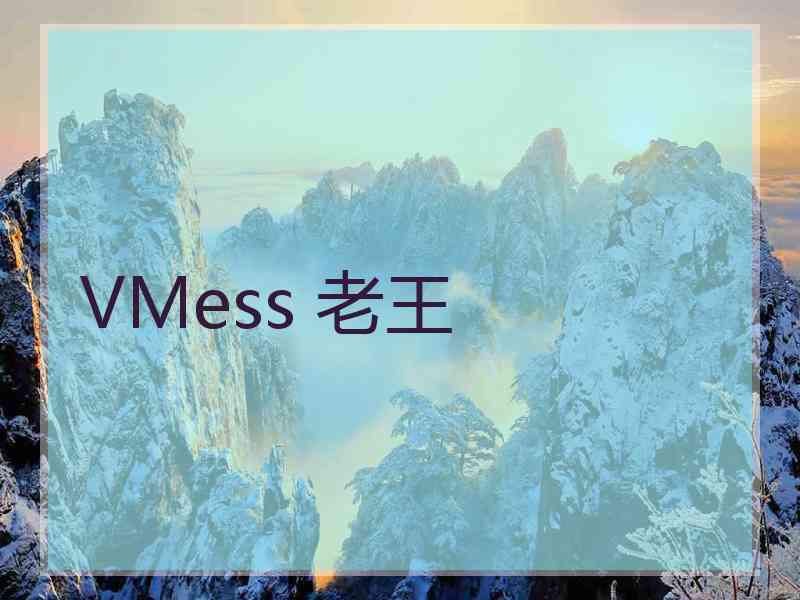 VMess 老王