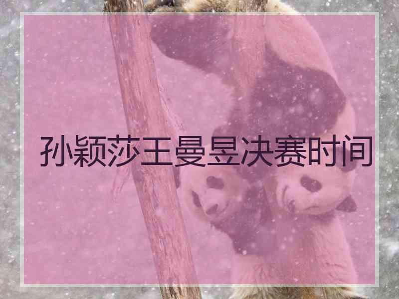 孙颖莎王曼昱决赛时间