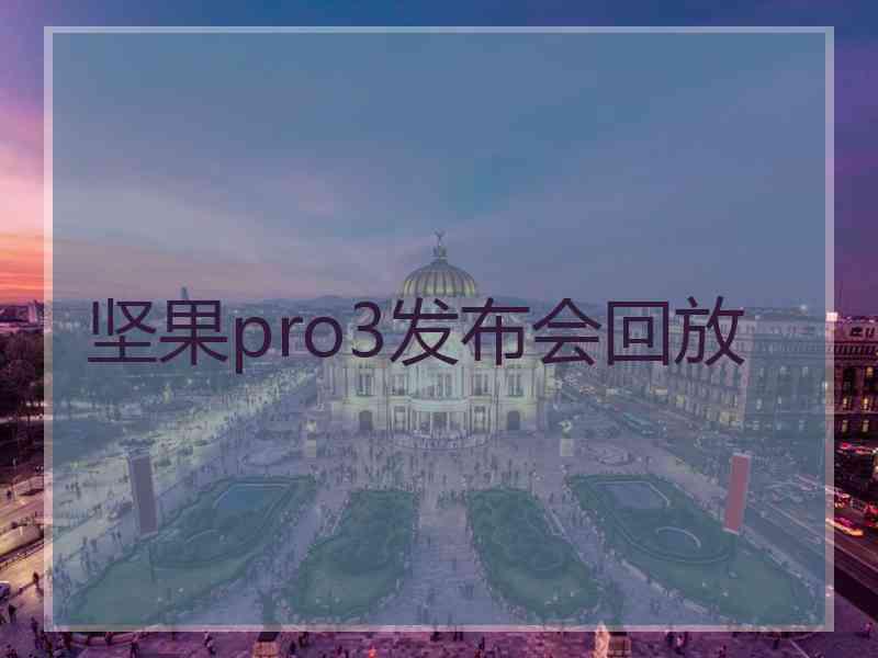 坚果pro3发布会回放