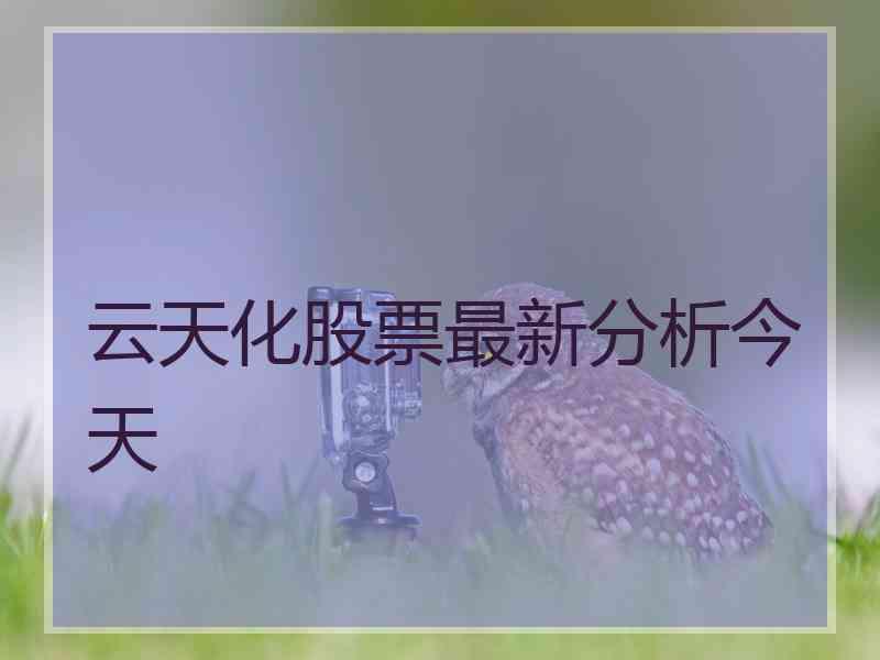 云天化股票最新分析今天