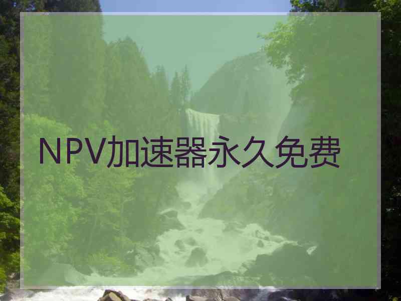 NPV加速器永久免费