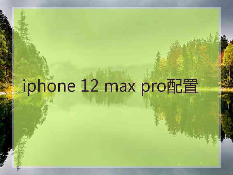 iphone 12 max pro配置