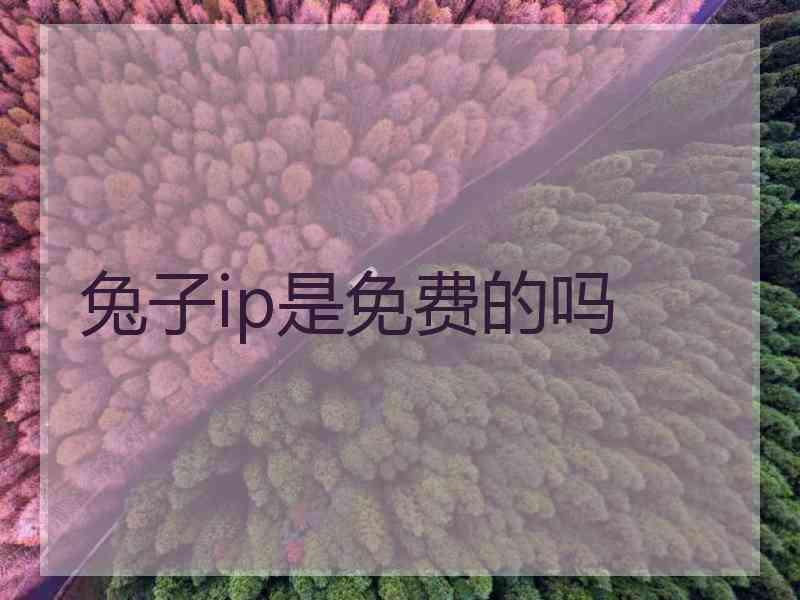 兔子ip是免费的吗