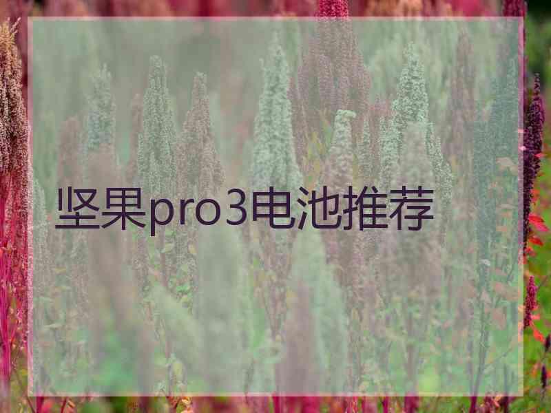 坚果pro3电池推荐