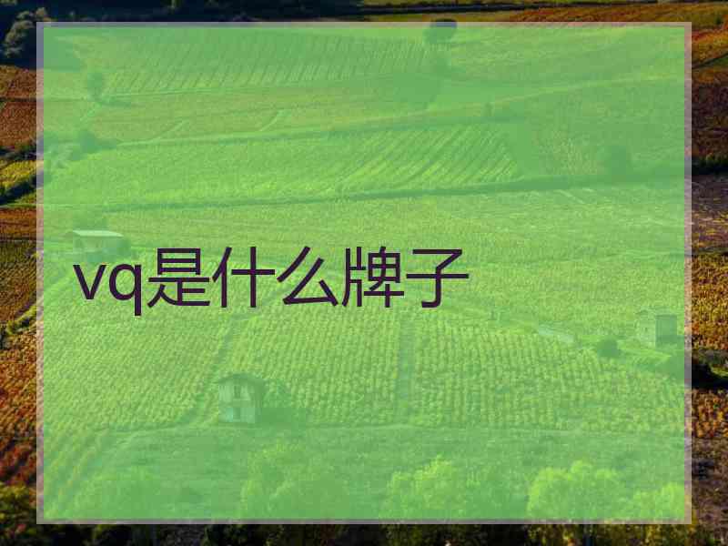 vq是什么牌子