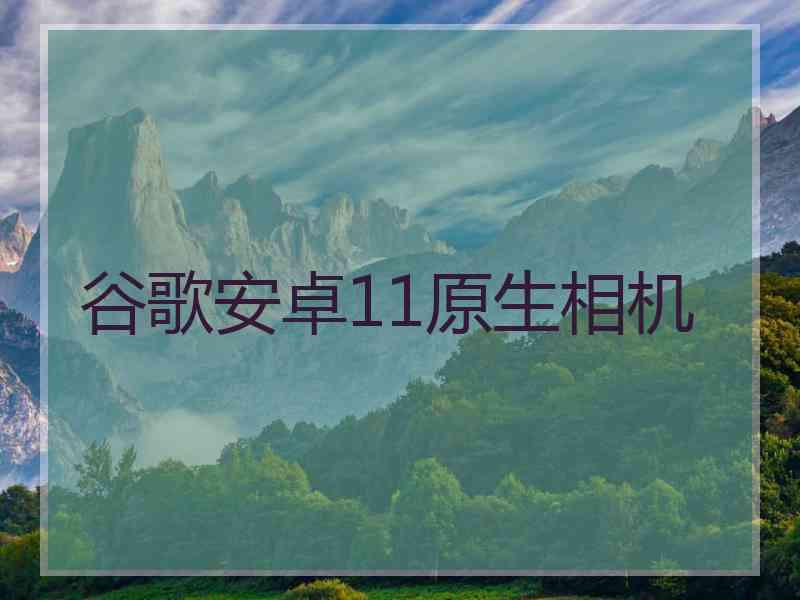 谷歌安卓11原生相机