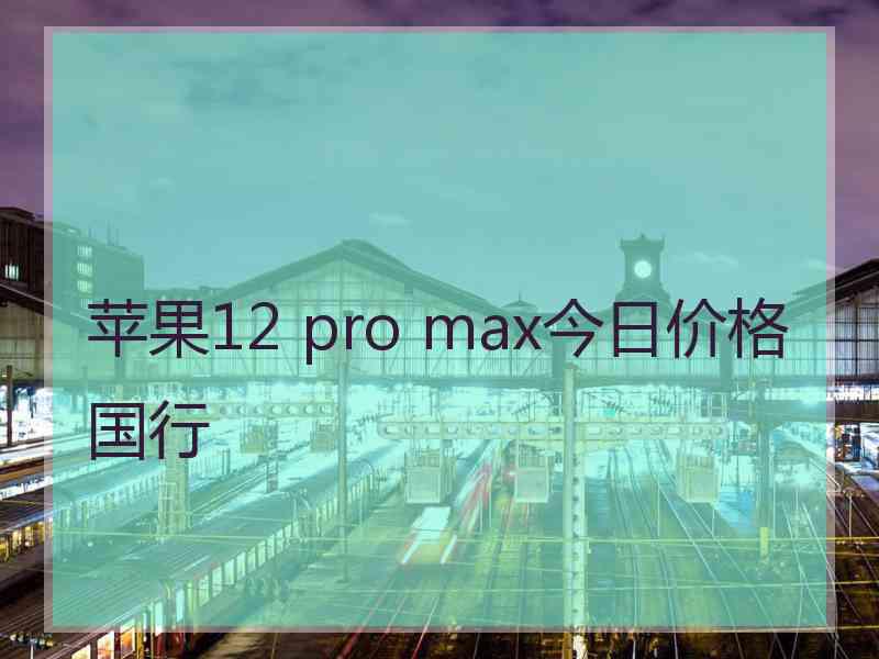 苹果12 pro max今日价格国行