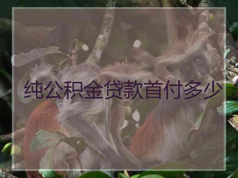 纯公积金贷款首付多少