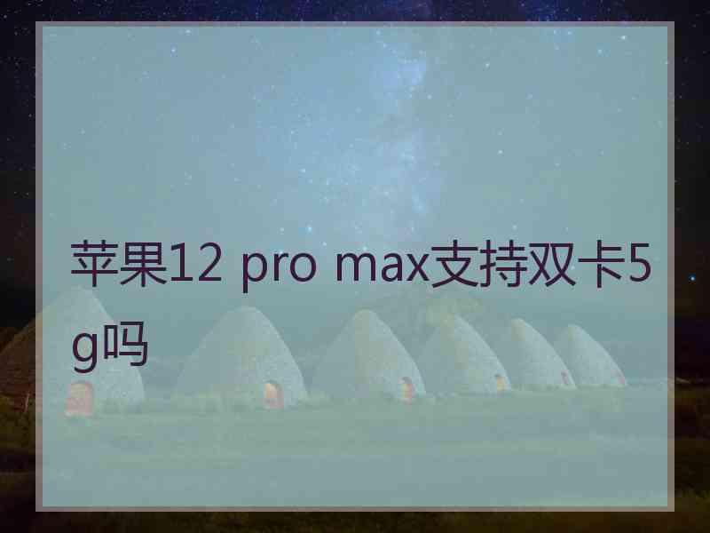 苹果12 pro max支持双卡5g吗