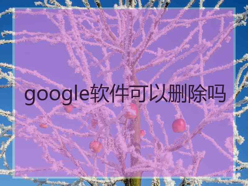 google软件可以删除吗