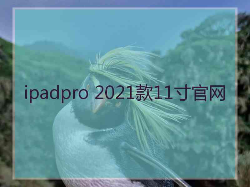 ipadpro 2021款11寸官网