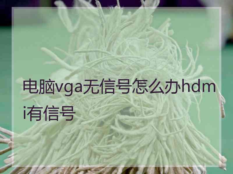 电脑vga无信号怎么办hdmi有信号