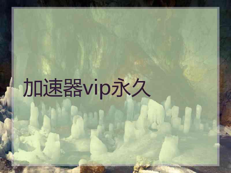 加速器vip永久