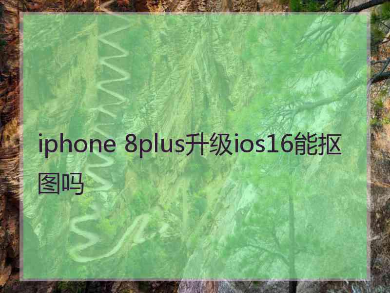 iphone 8plus升级ios16能抠图吗