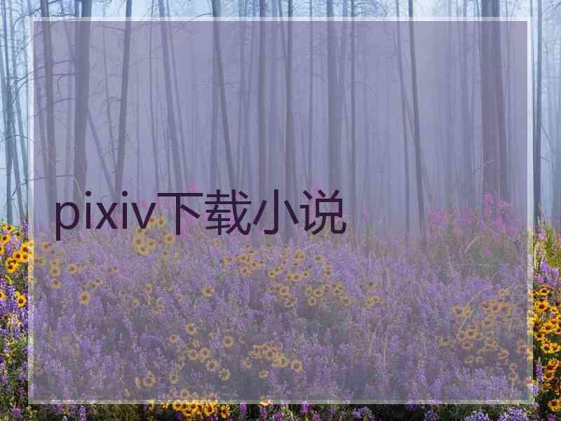 pixiv下载小说