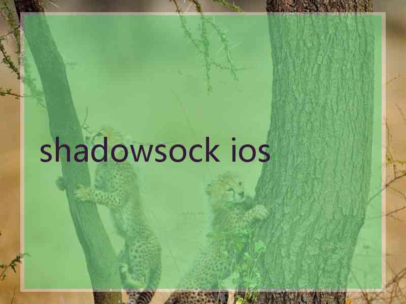 shadowsock ios