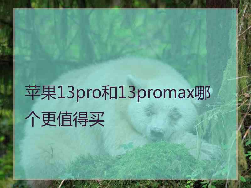 苹果13pro和13promax哪个更值得买