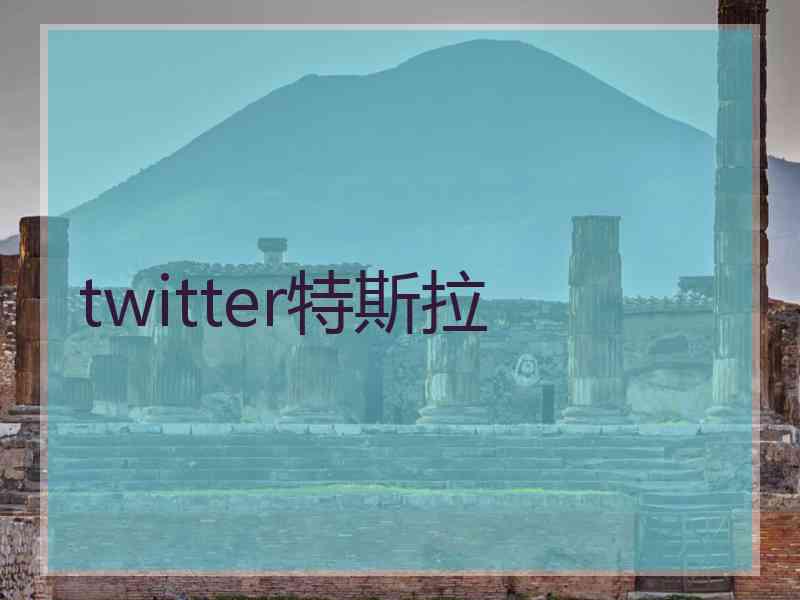 twitter特斯拉