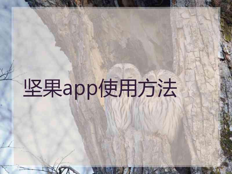 坚果app使用方法