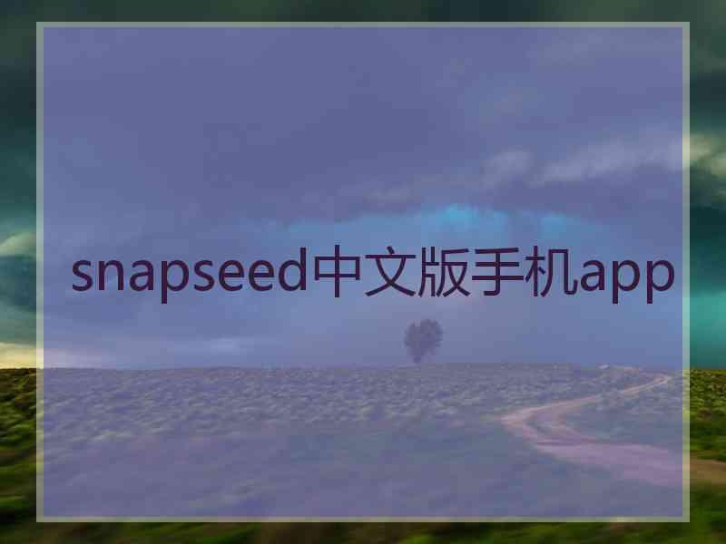 snapseed中文版手机app