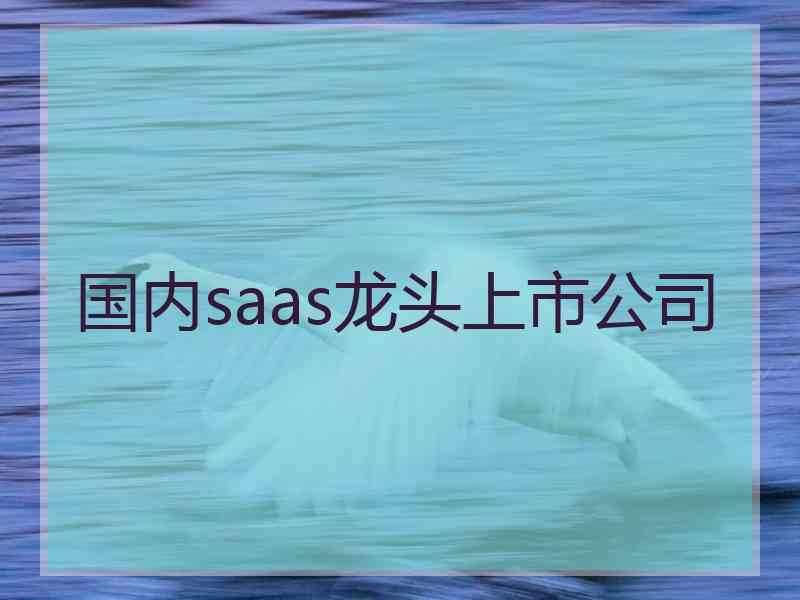 国内saas龙头上市公司