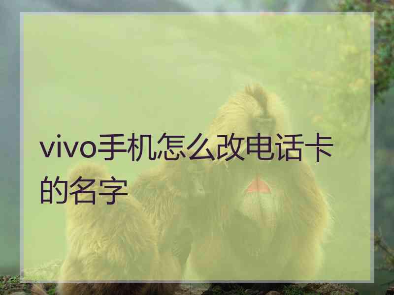 vivo手机怎么改电话卡的名字