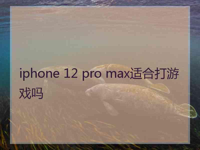 iphone 12 pro max适合打游戏吗