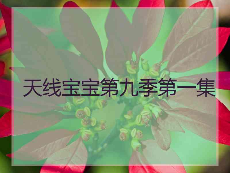 天线宝宝第九季第一集