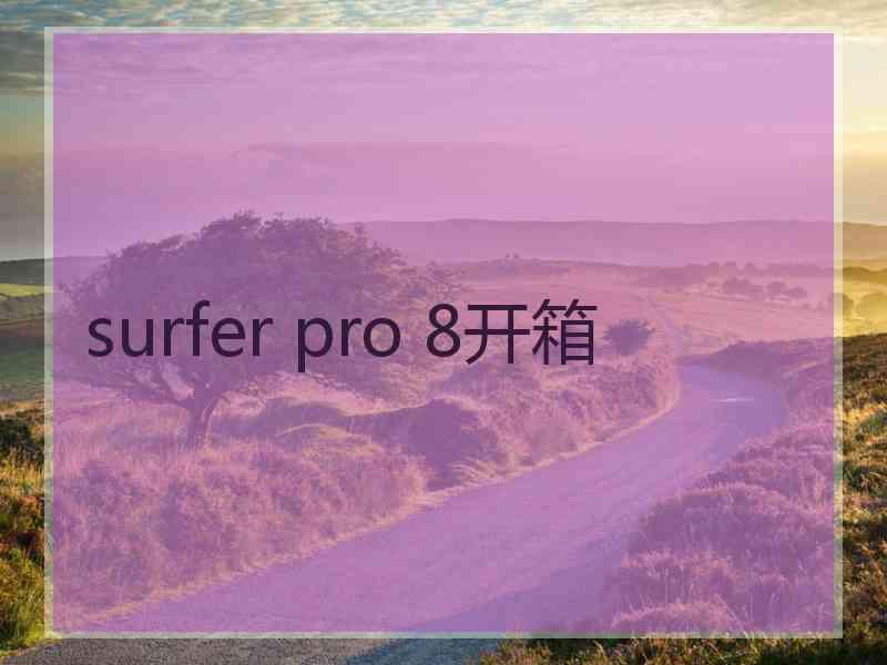 surfer pro 8开箱